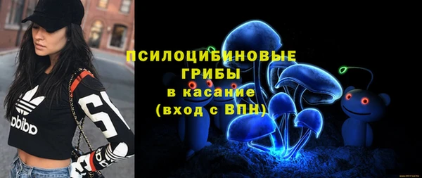 гашик Абинск