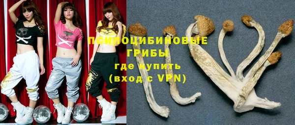гашик Абинск