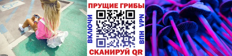 цена наркотик  Вичуга  Галлюциногенные грибы мухоморы 
